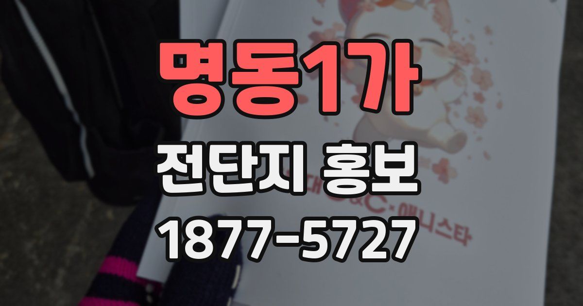 명동1가 전단지 홍보