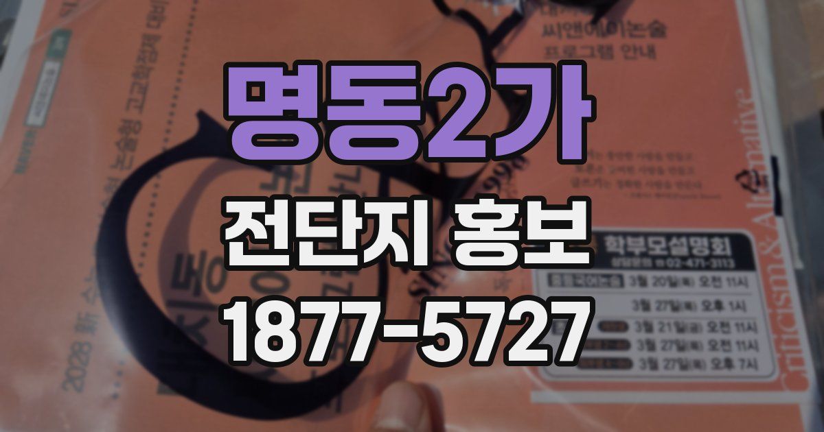 명동2가 전단지 홍보