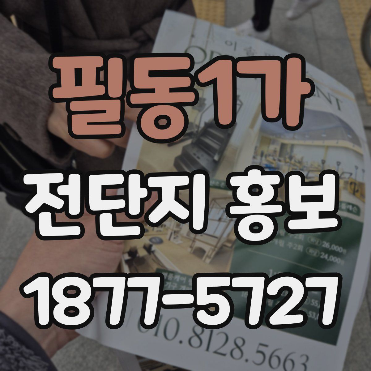 필동1가 전단지 홍보