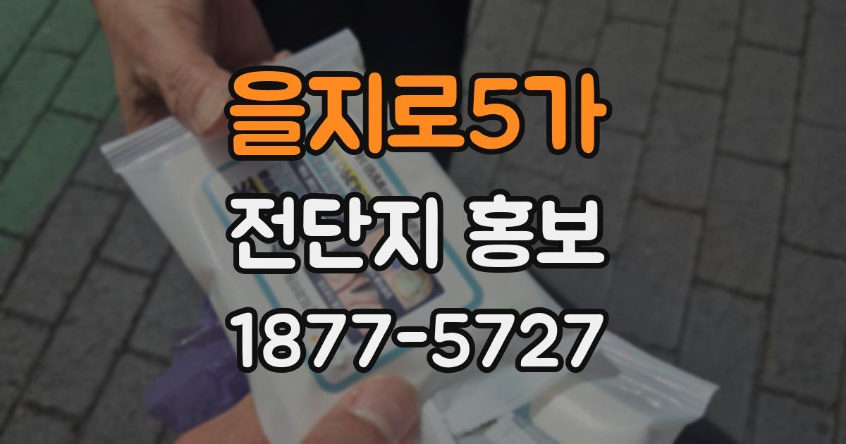 을지로5가 전단지 홍보