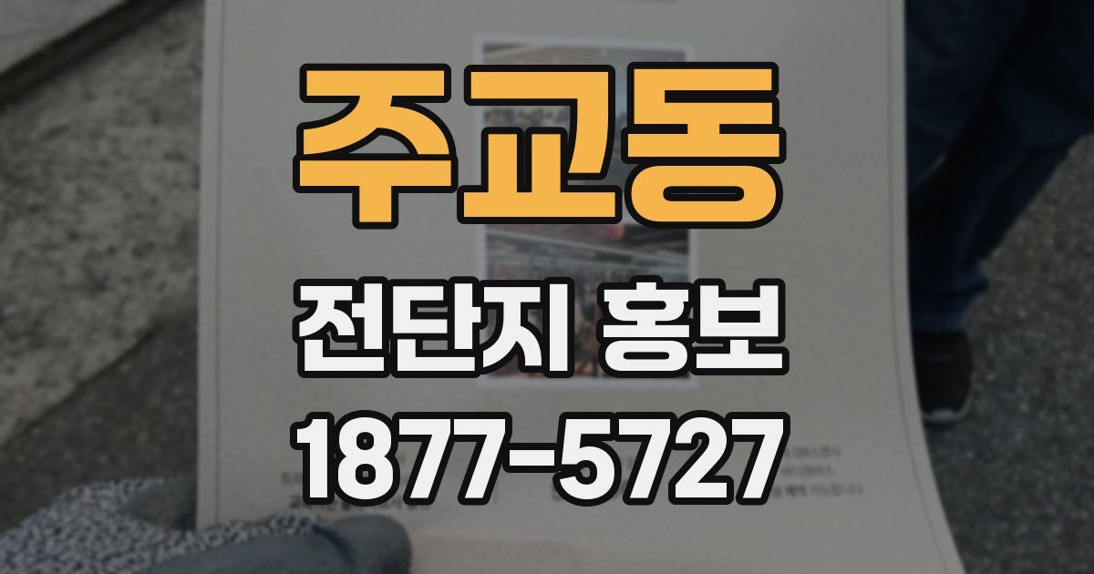 주교동 전단지 홍보