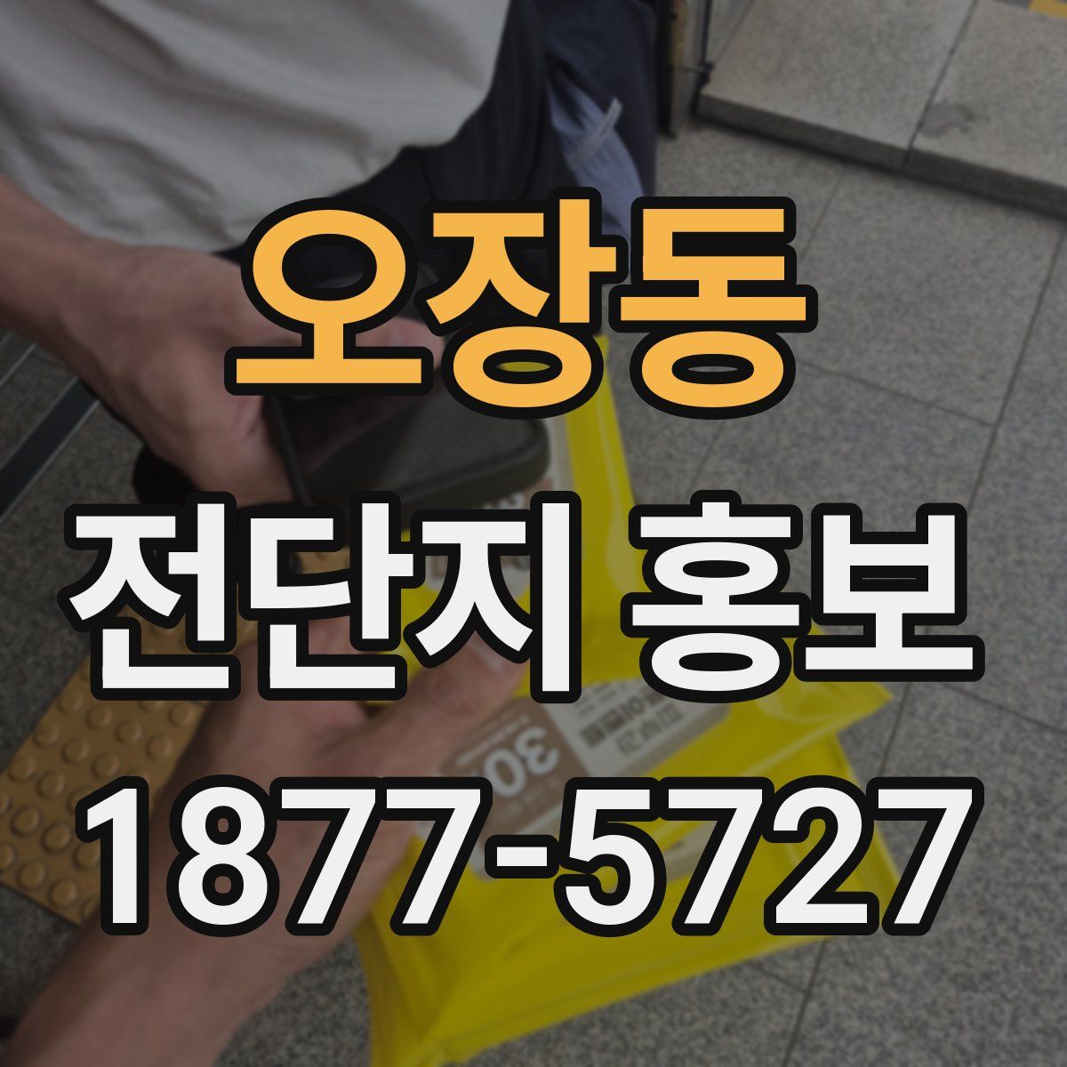 오장동 전단지 홍보
