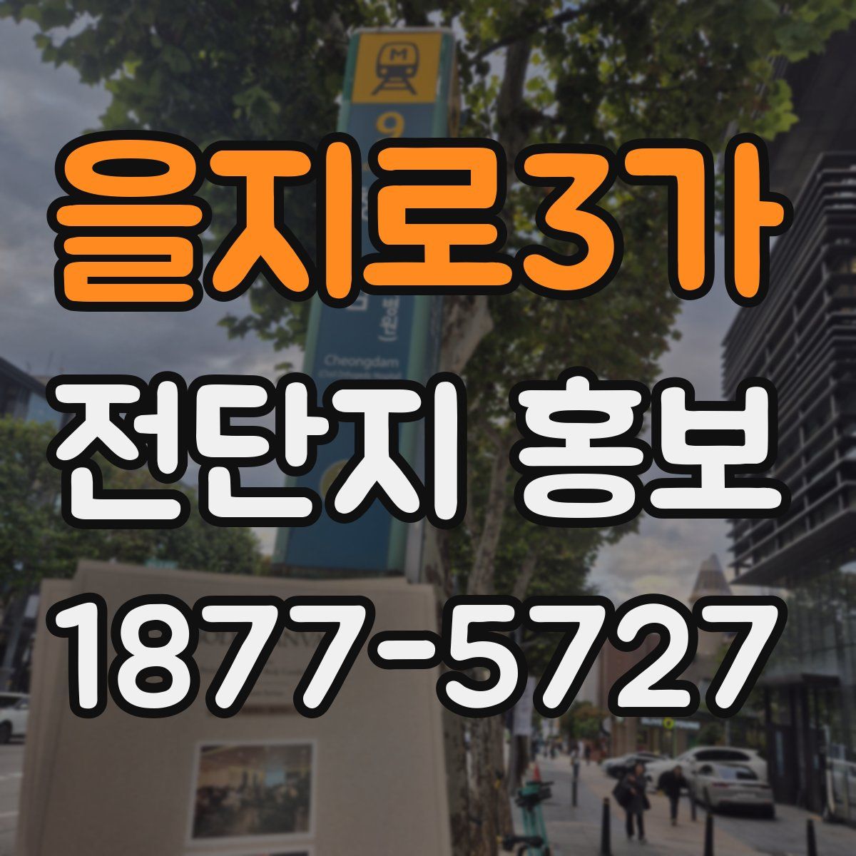 을지로3가 전단지 홍보