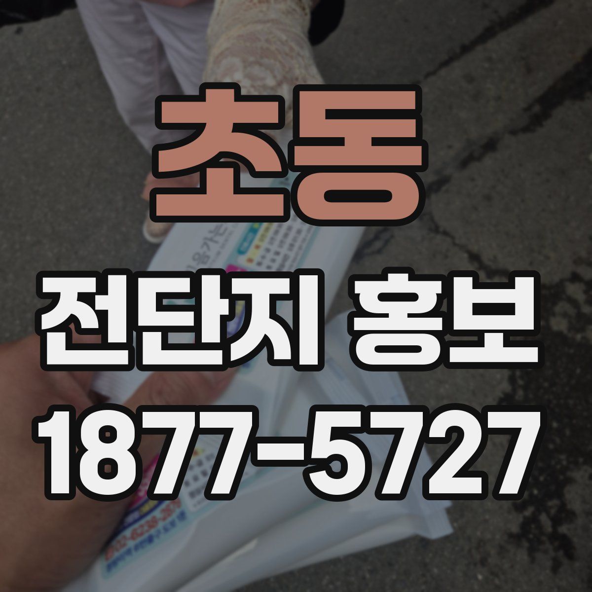 초동 전단지 홍보