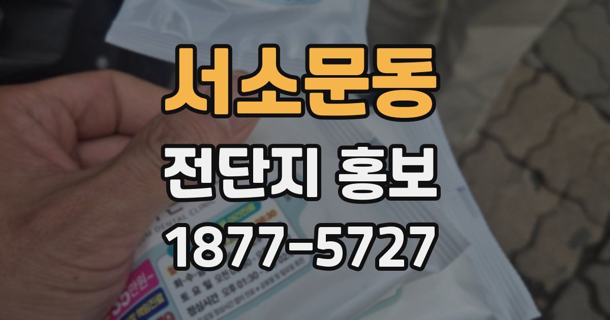 서소문동 전단지 홍보