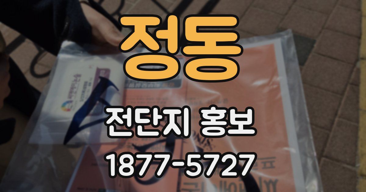 정동 전단지 홍보