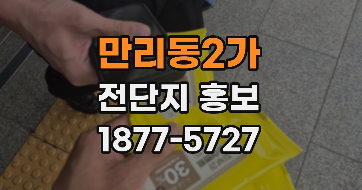 만리동2가 전단지 홍보