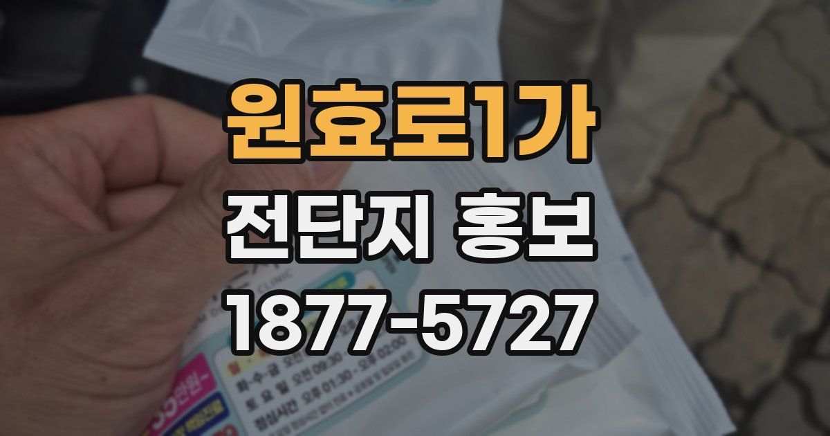 원효로1가 전단지 홍보