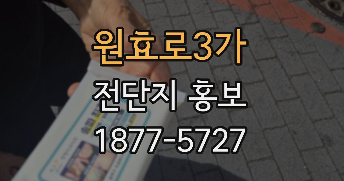 원효로3가 전단지 홍보