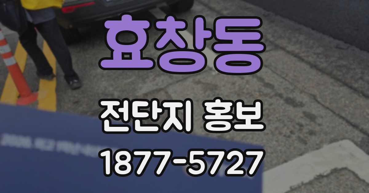 효창동 전단지 홍보