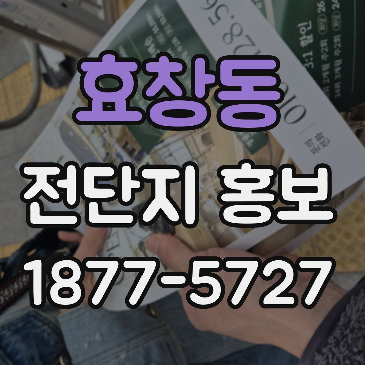 효창동 전단지 홍보