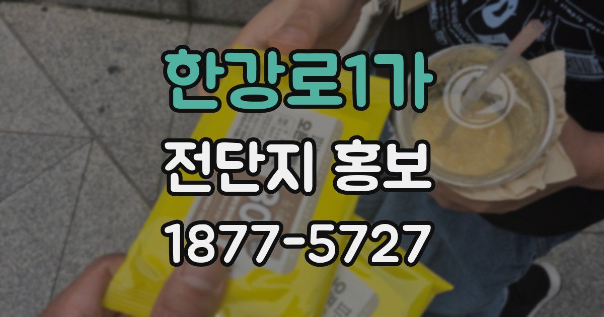 한강로1가 전단지 홍보