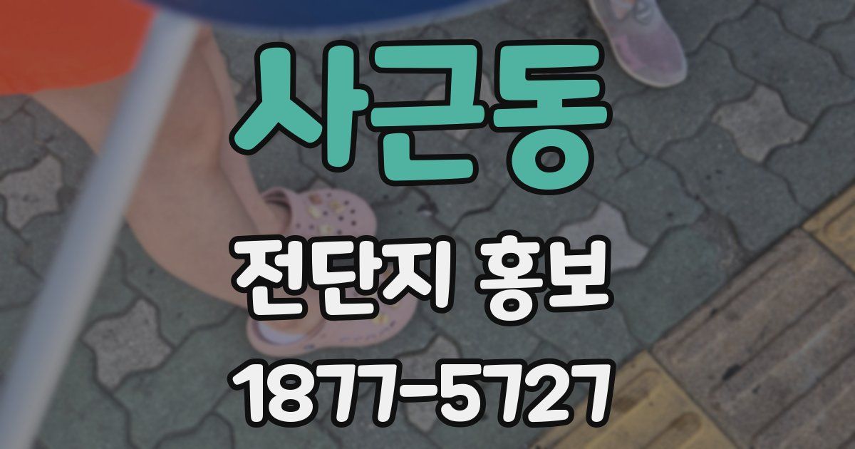 사근동 전단지 홍보