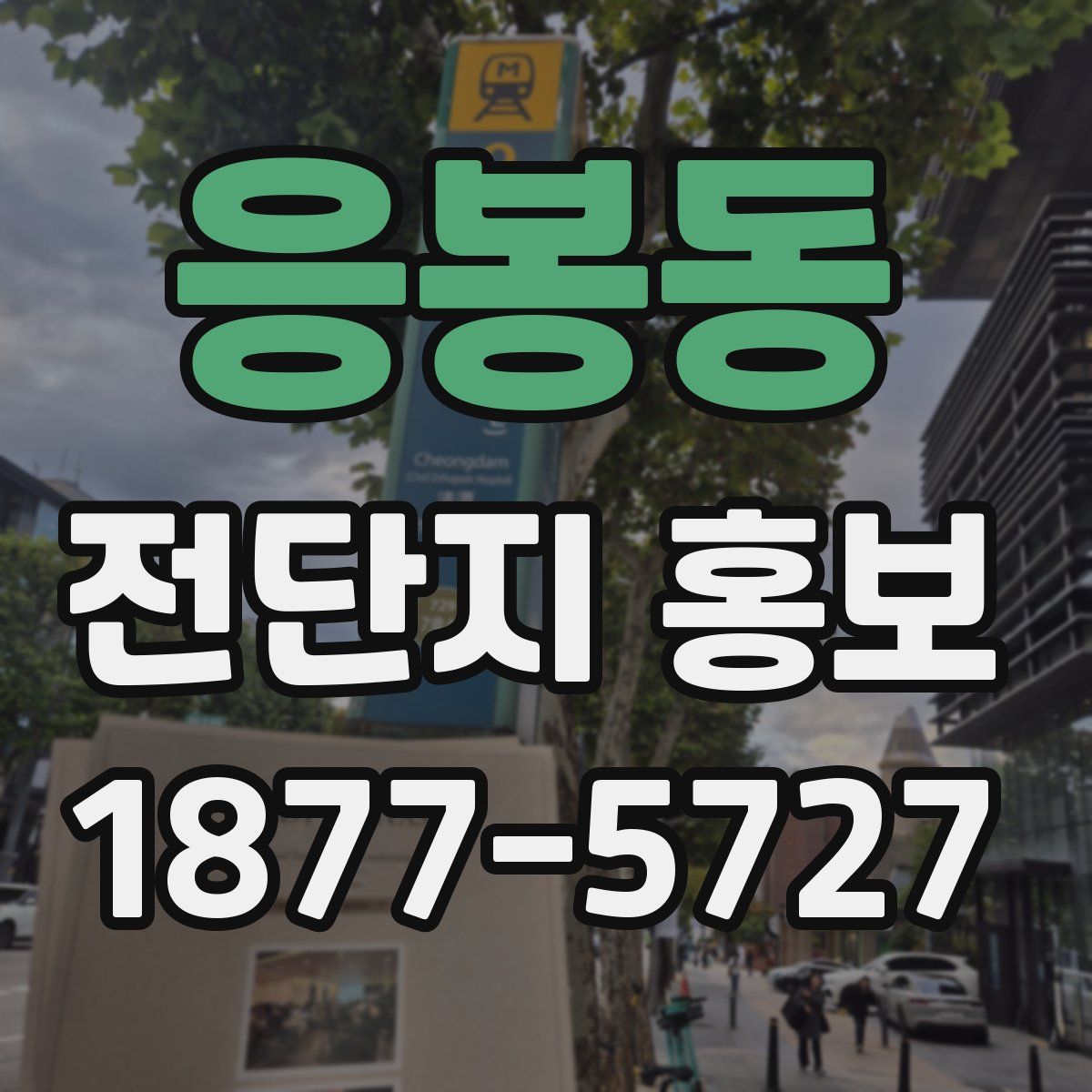 응봉동 전단지 홍보