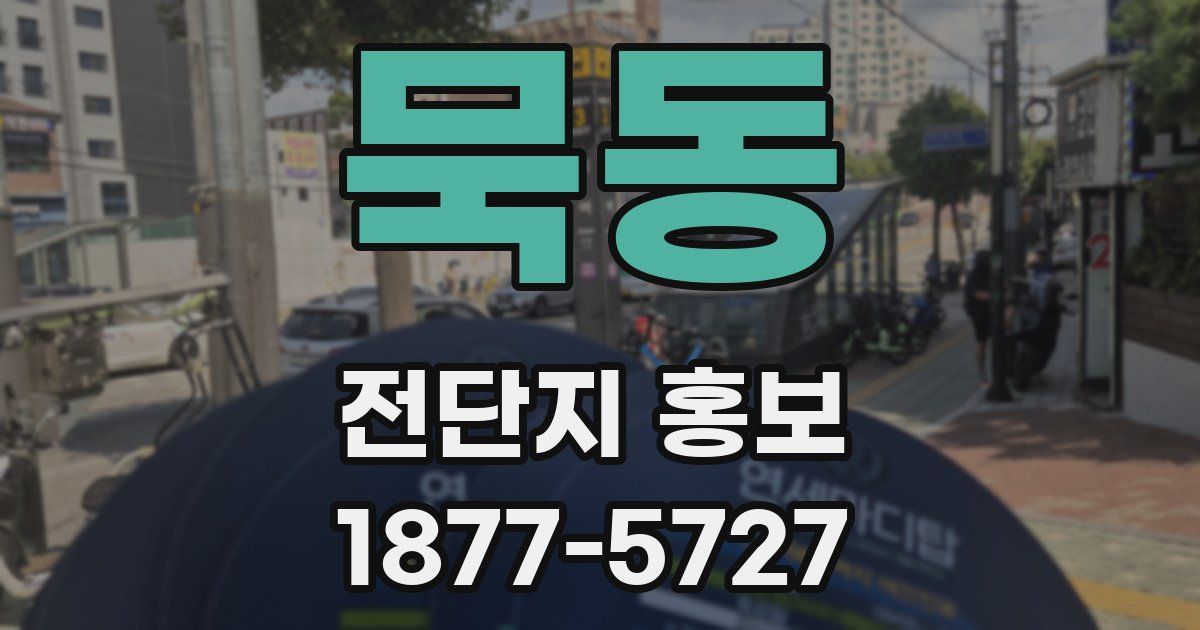 묵동 전단지 홍보