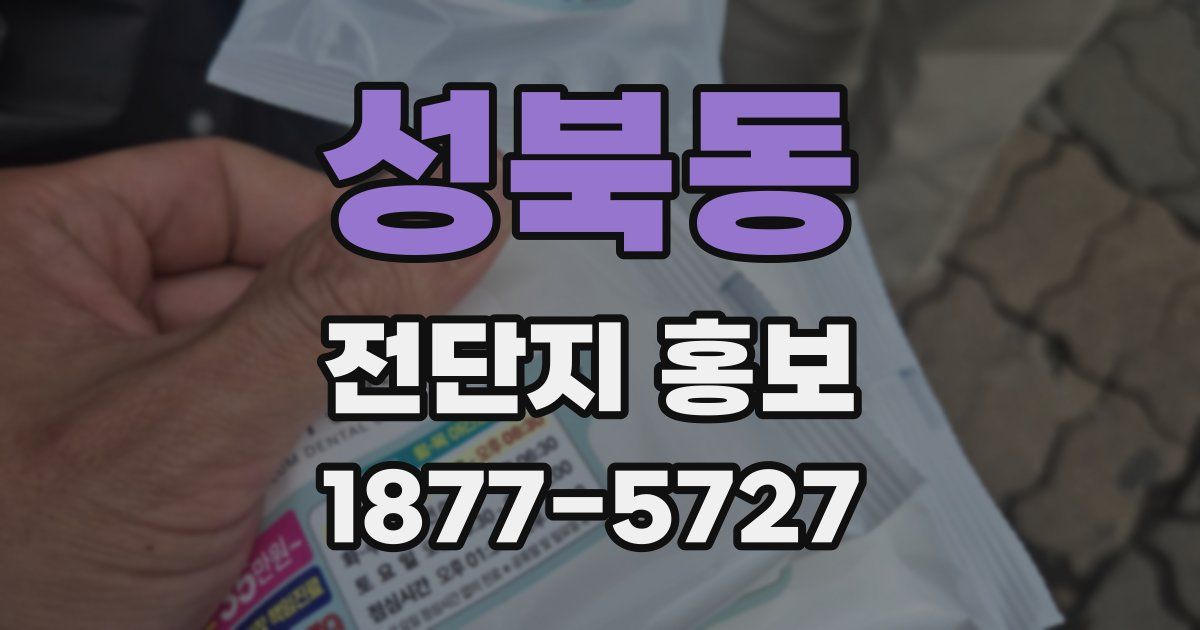 성북동 전단지 홍보