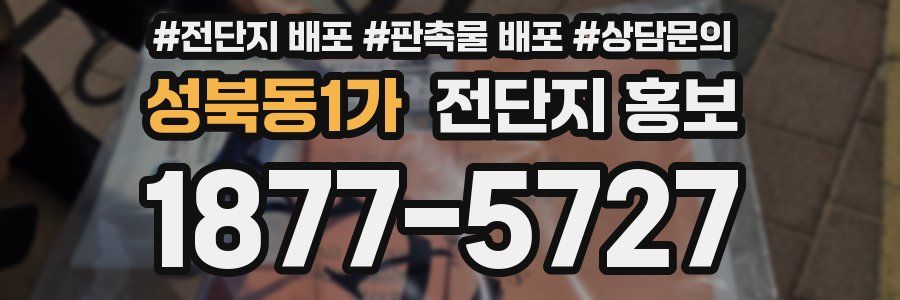 성북동1가 전단지 홍보