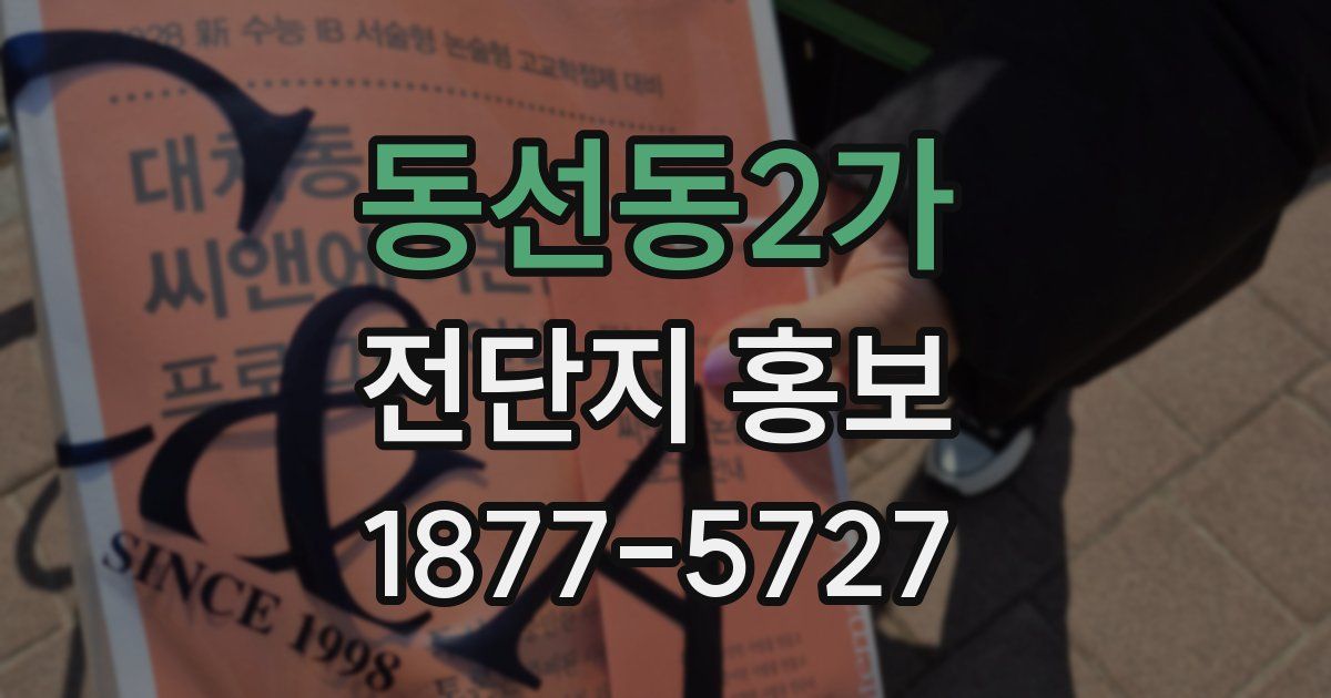 동선동2가 전단지 홍보