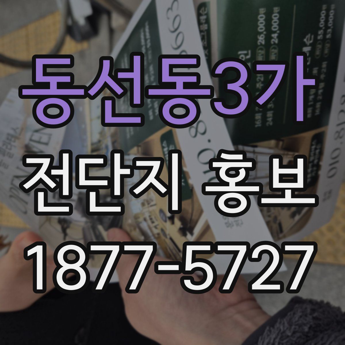 동선동3가 전단지 홍보