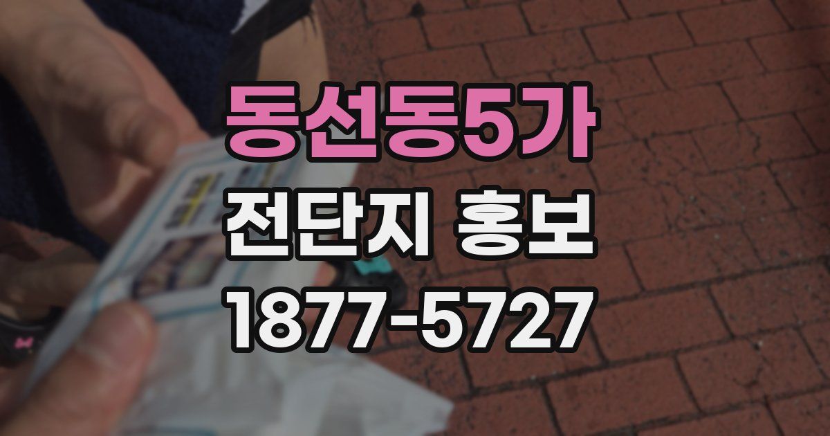 동선동5가 전단지 홍보