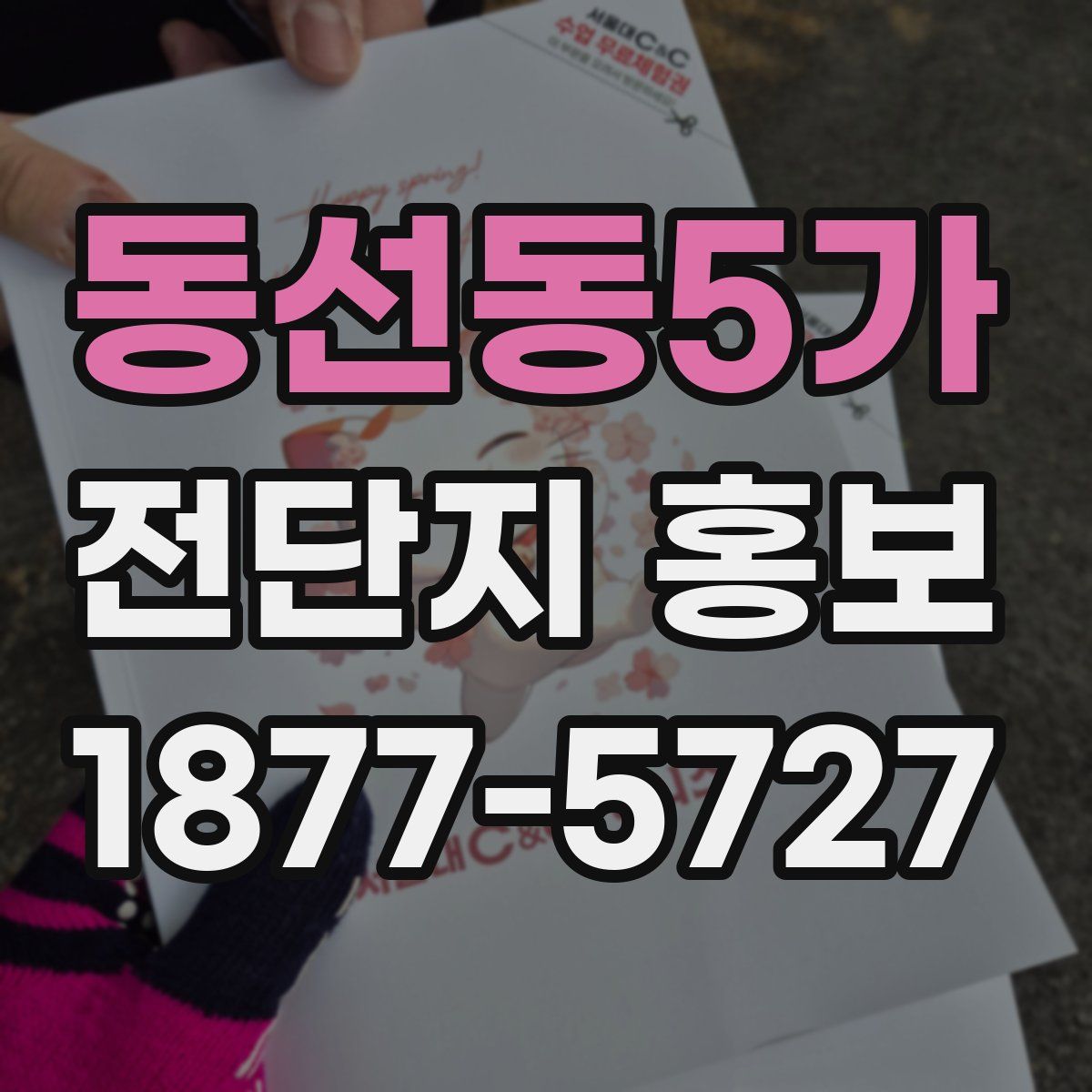 동선동5가 전단지 홍보