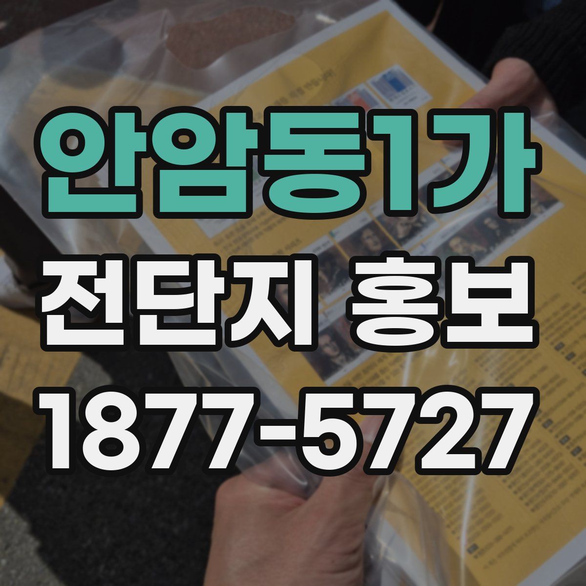 안암동1가 전단지 홍보