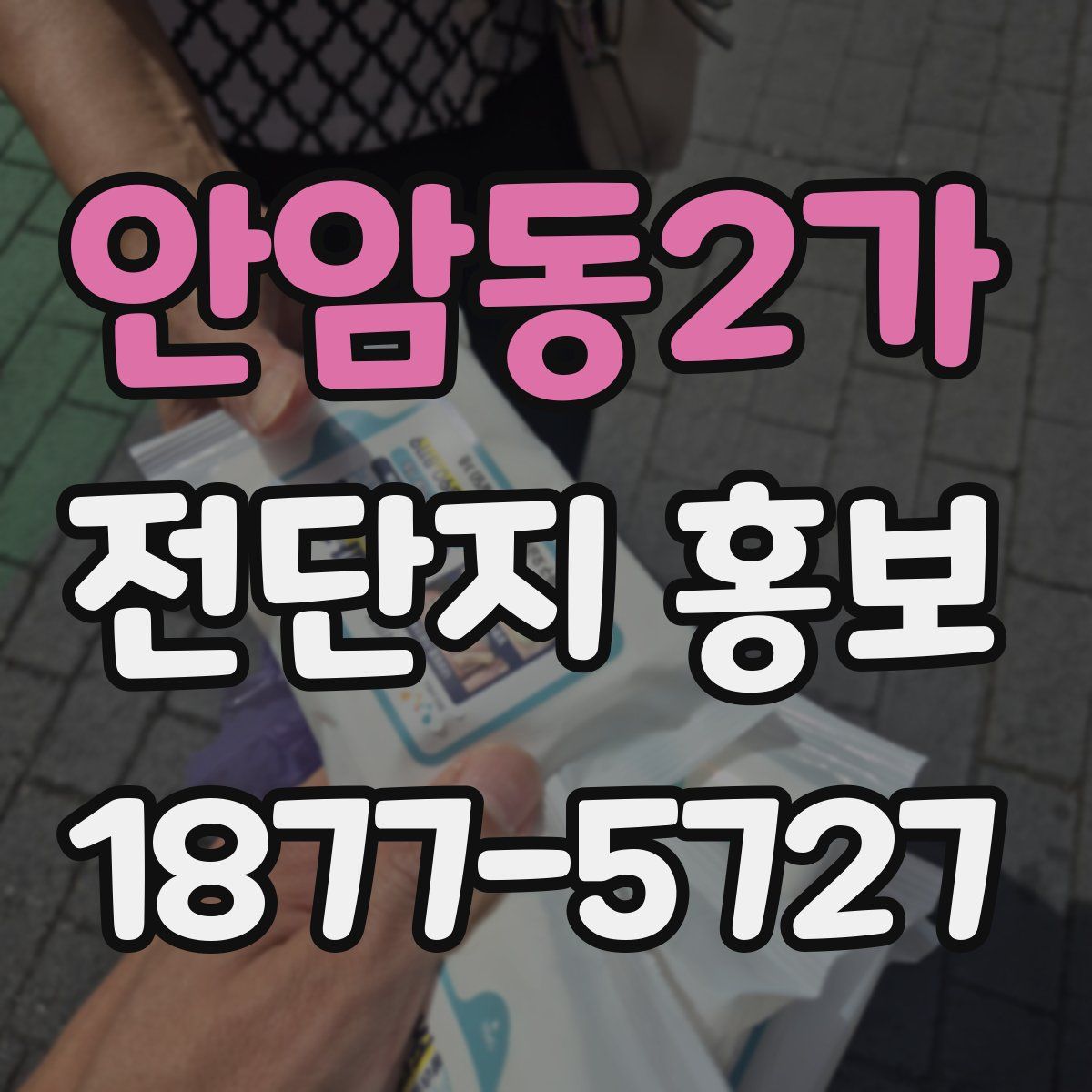 안암동2가 전단지 홍보