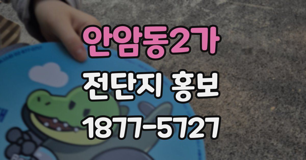 안암동2가 전단지 홍보