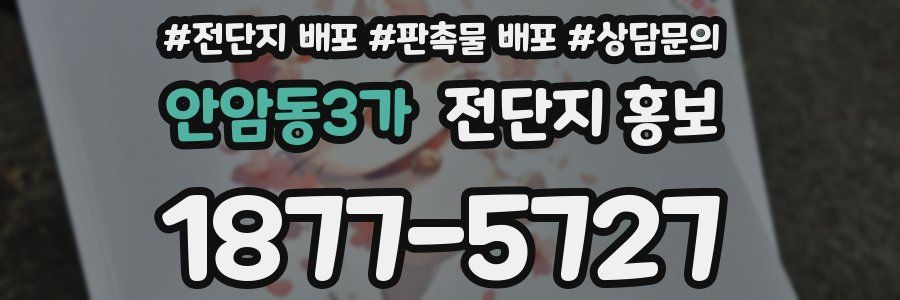 안암동3가 전단지 홍보