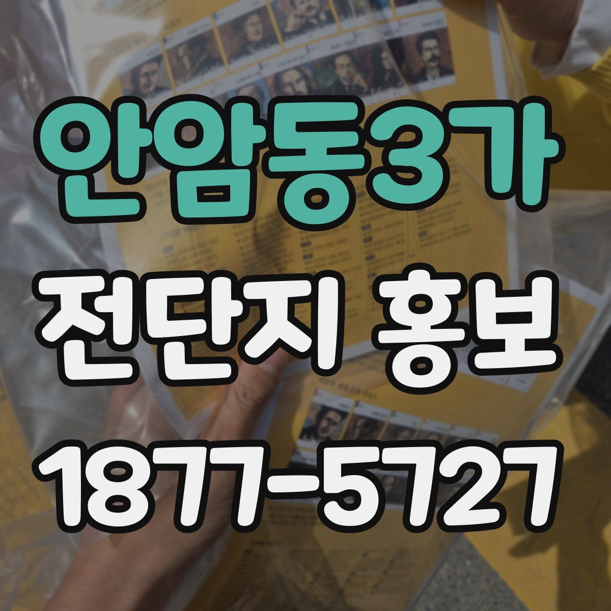 안암동3가 전단지 홍보