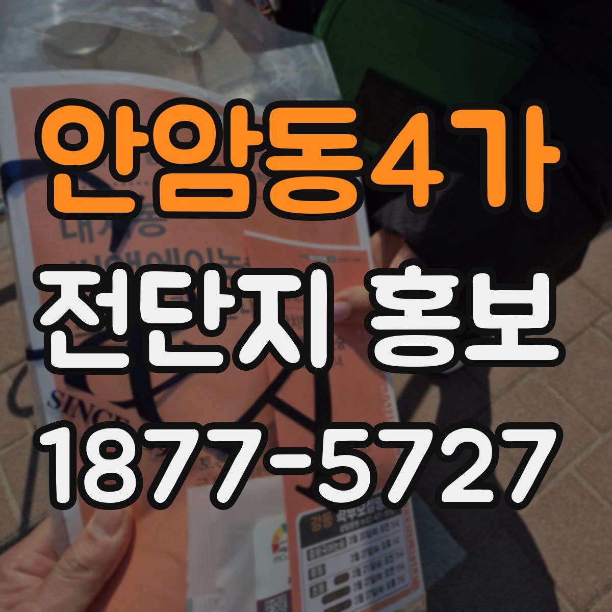 안암동4가 전단지 홍보