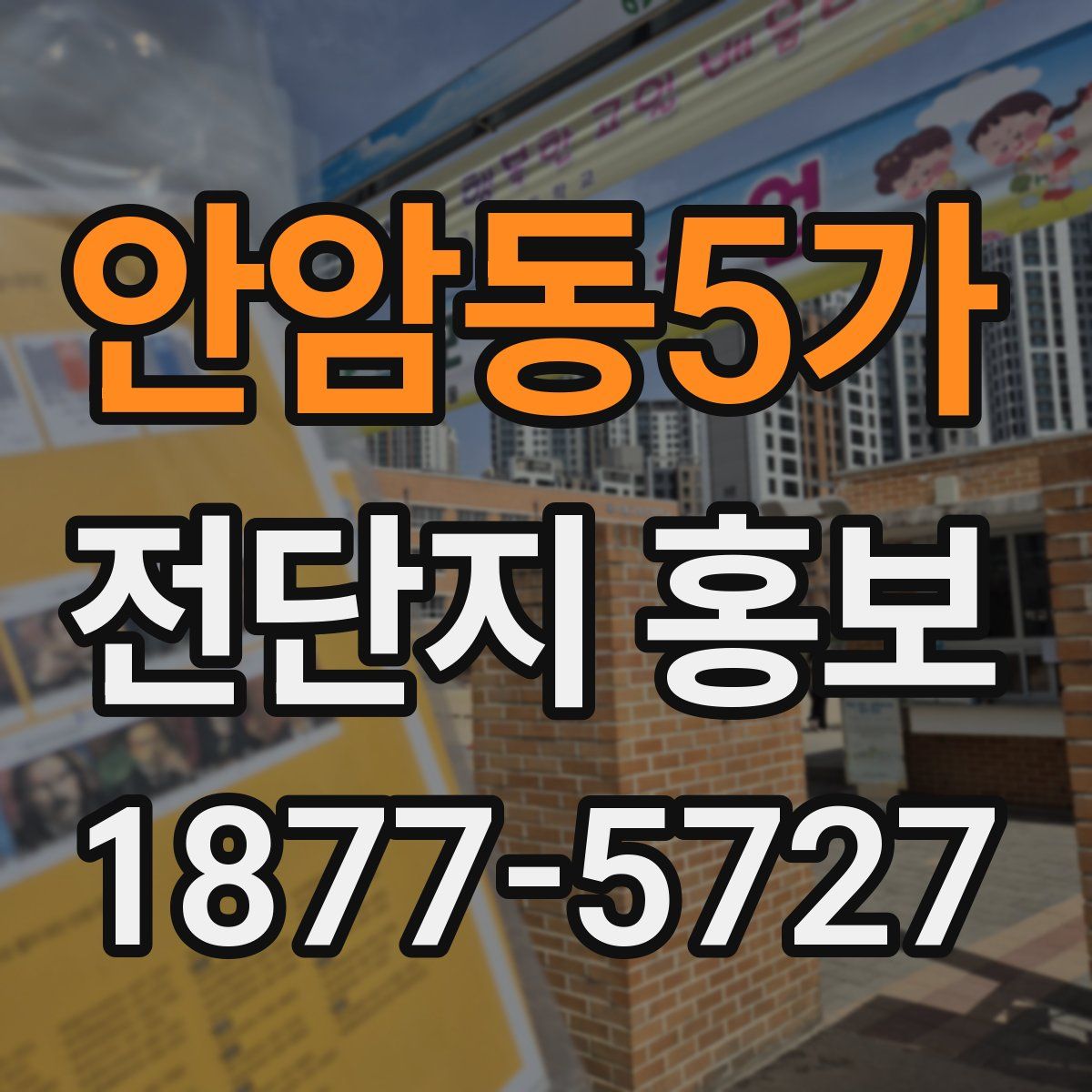 안암동5가 전단지 홍보