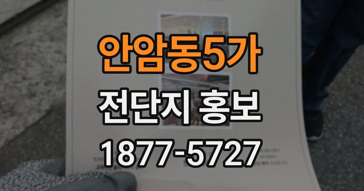 안암동5가 전단지 홍보