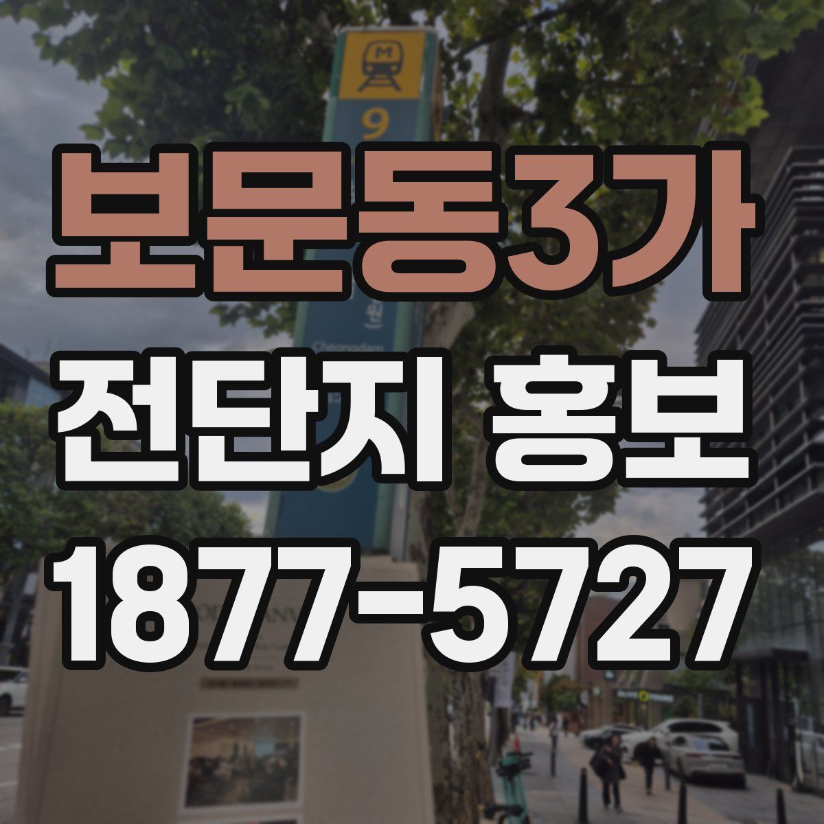 보문동3가 전단지 홍보