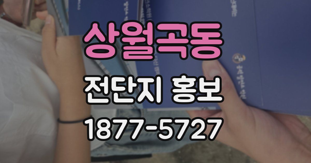 상월곡동 전단지 홍보