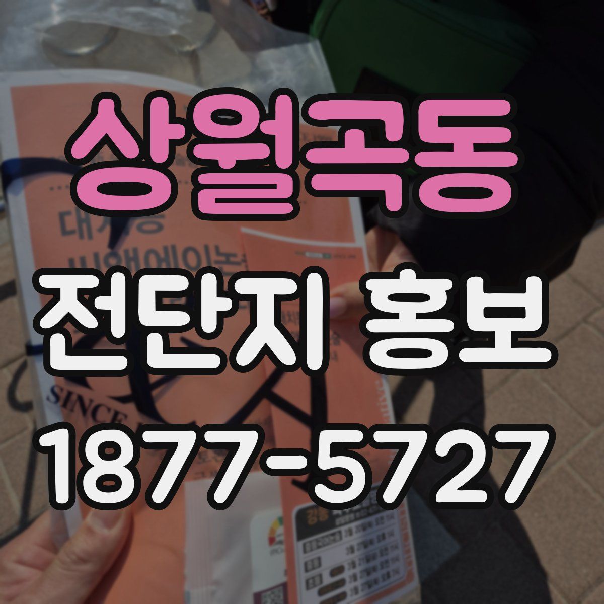 상월곡동 전단지 홍보