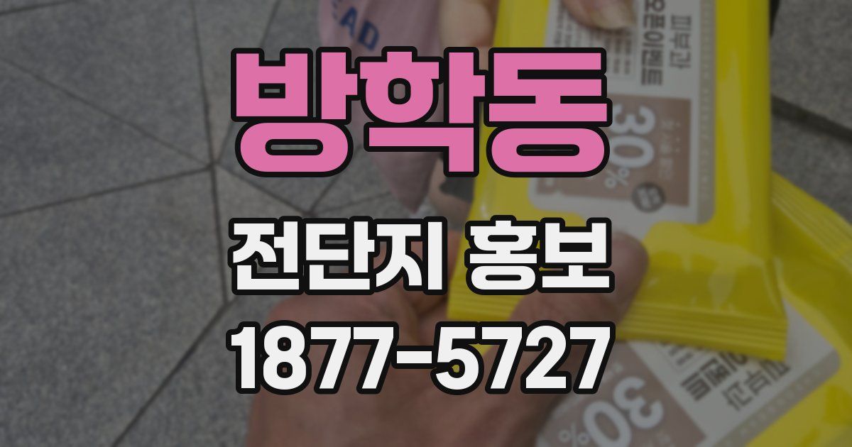 방학동 전단지 홍보
