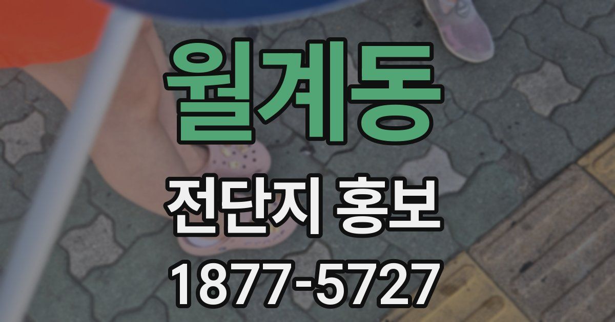 월계동 전단지 홍보