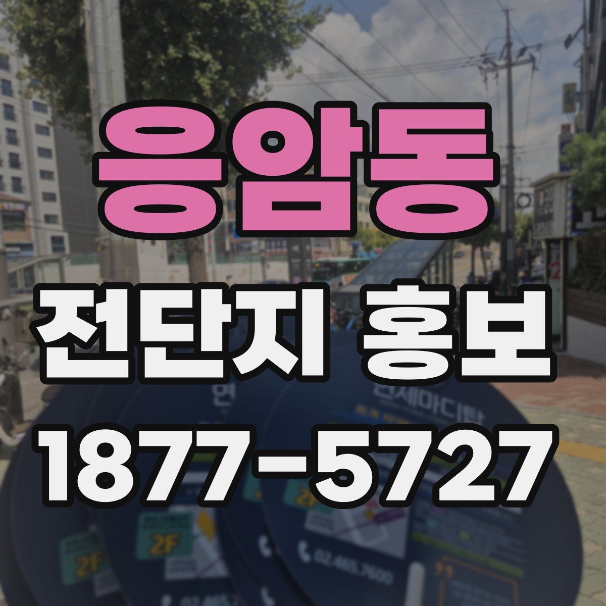 응암동 전단지 홍보