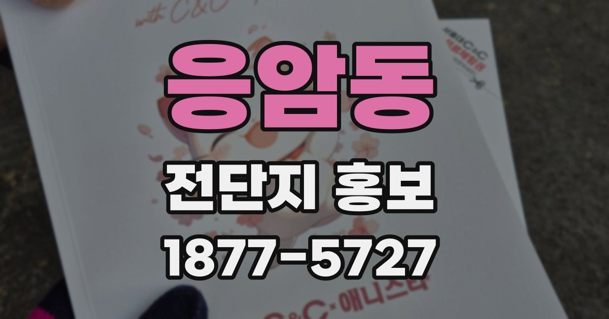 응암동 전단지 홍보
