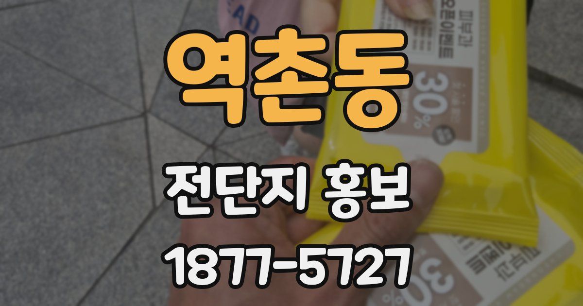 역촌동 전단지 홍보