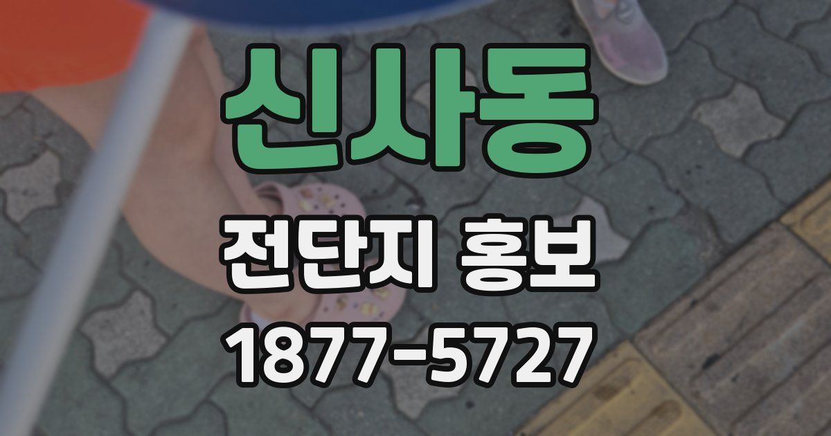 신사동 전단지 홍보