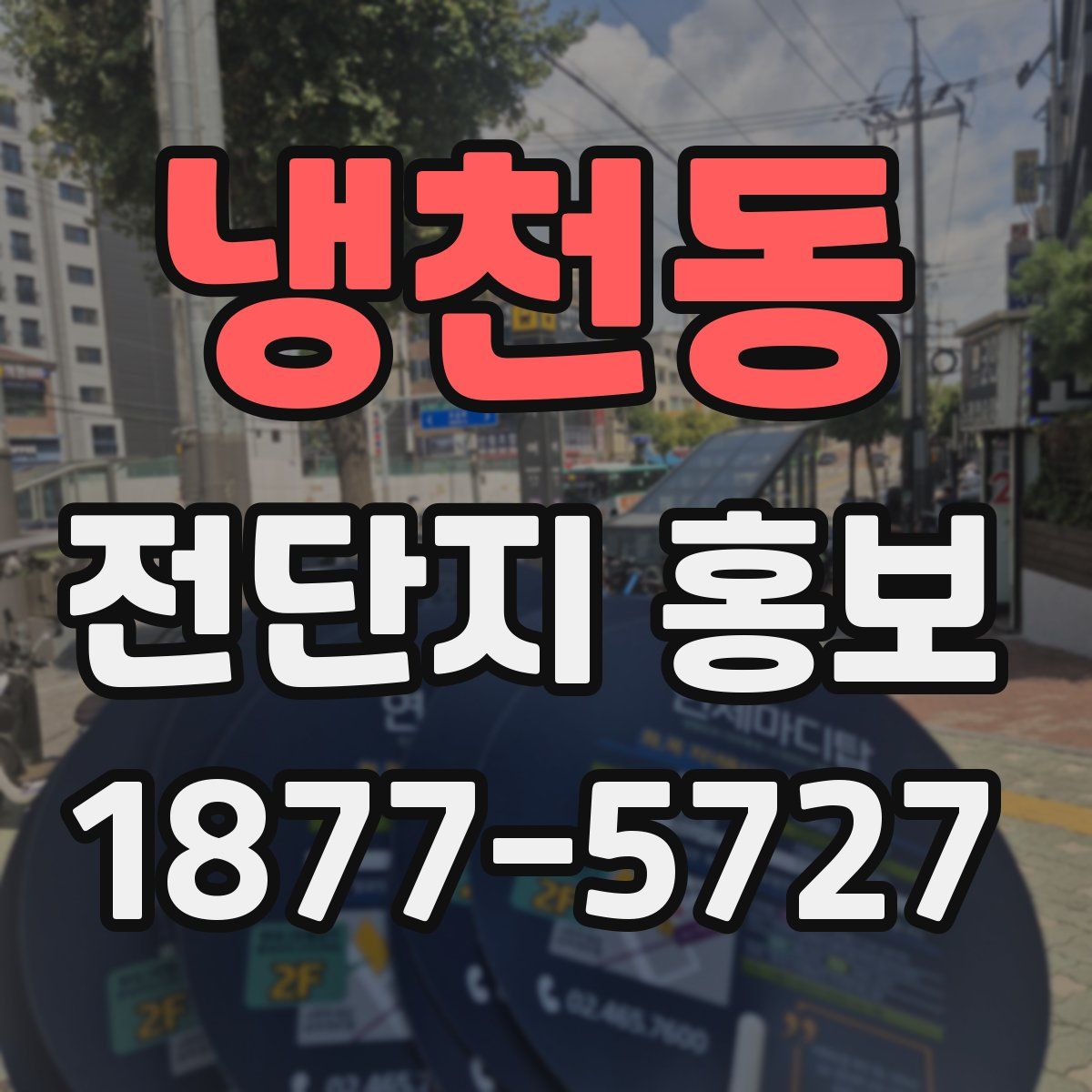 냉천동 전단지 홍보