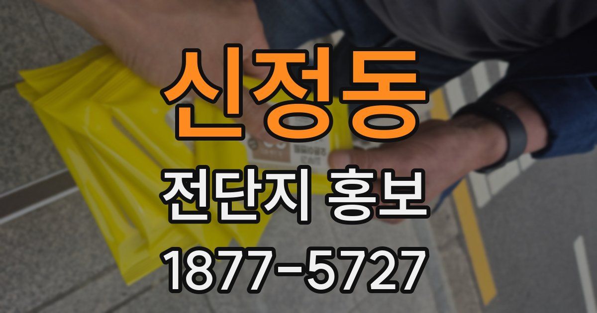 신정동 전단지 홍보