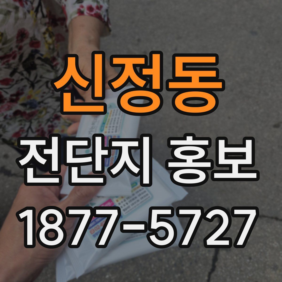 신정동 전단지 홍보