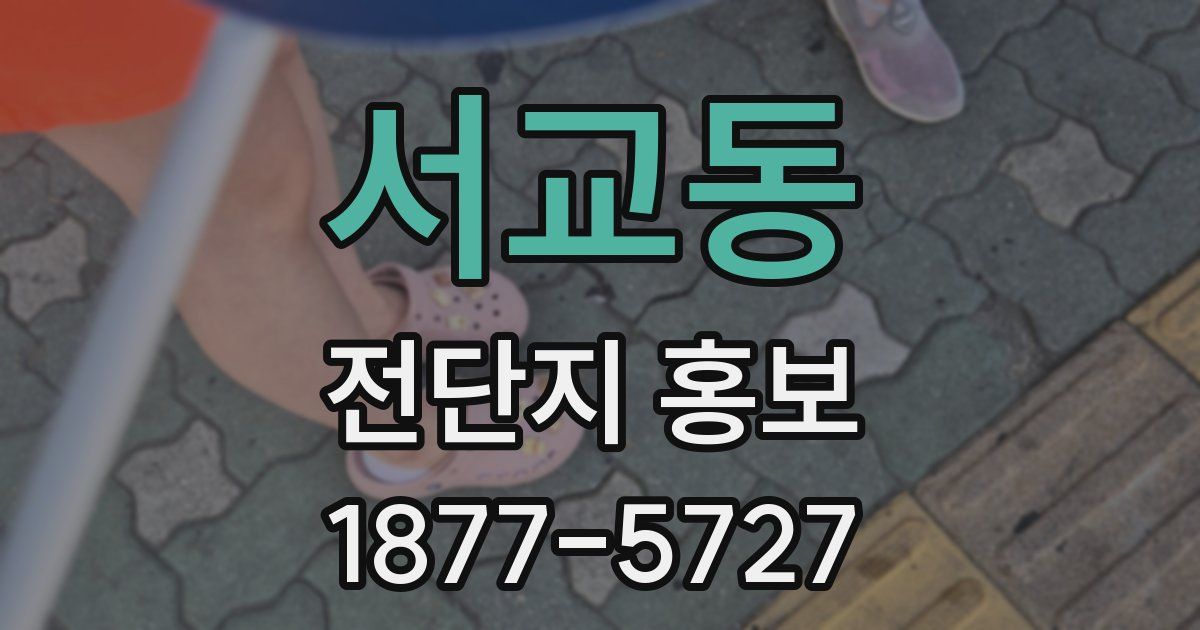 서교동 전단지 홍보