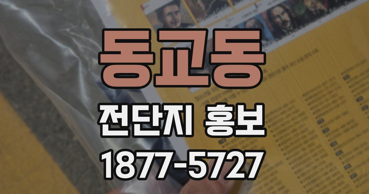 동교동 전단지 홍보