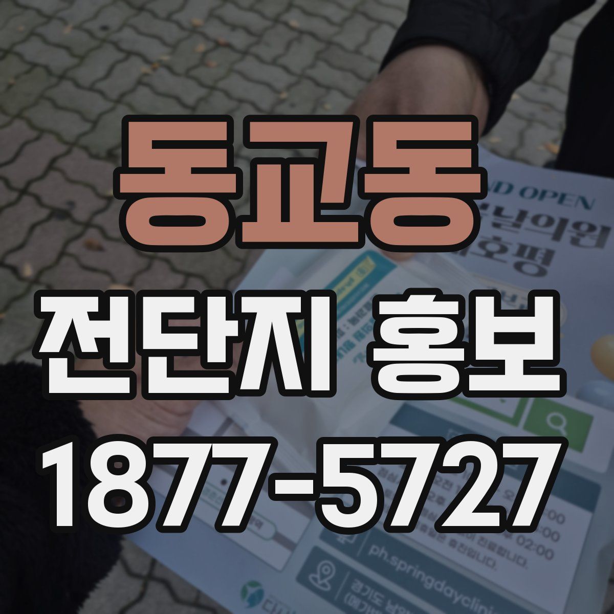 동교동 전단지 홍보