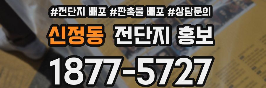 신정동 전단지 홍보