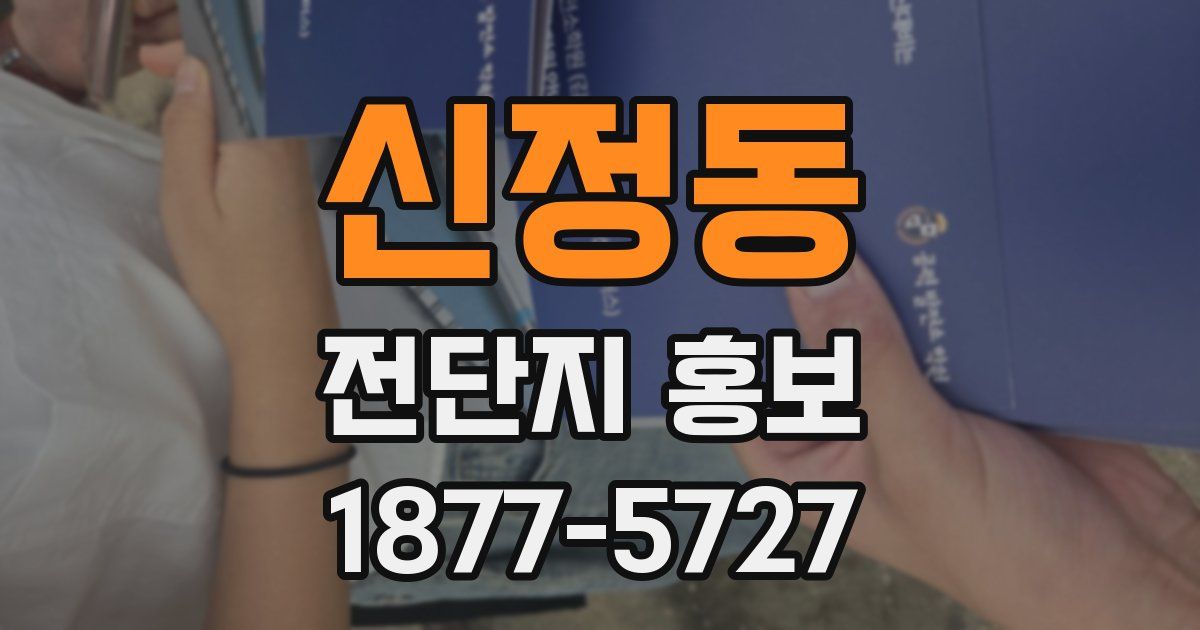 신정동 전단지 홍보